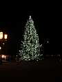 Picture 043
